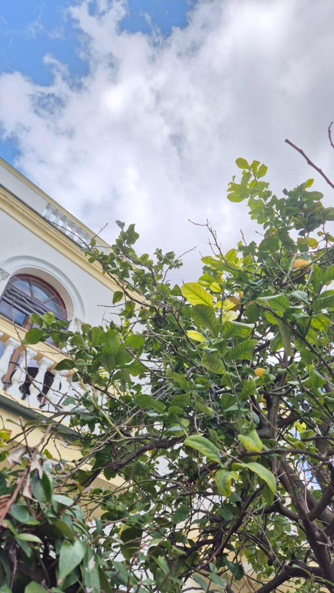 Relais Villa Montedonzelli Νάπολη Εξωτερικό φωτογραφία